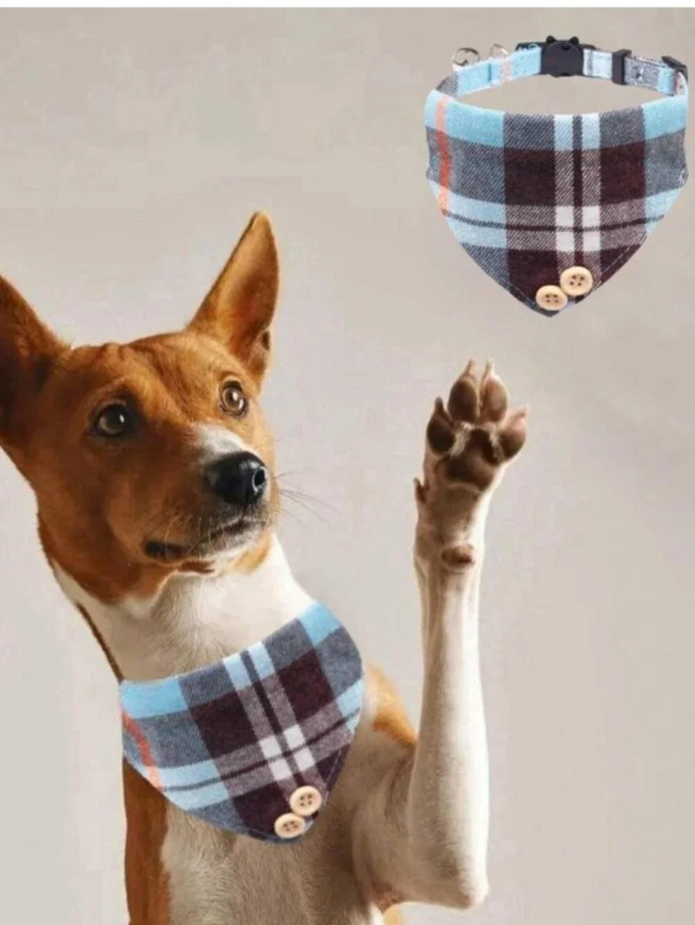 Cat/Kitten 😺 Collar Plaid Bandana with Bells and Bowtie, 2 Packs